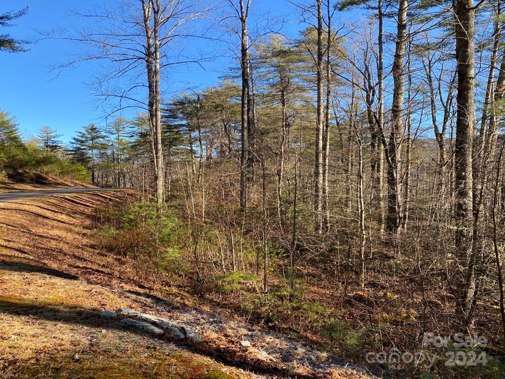 L41 Abby Falls Road, Unit L41 Brevard, NC 28712 - Photo 3 of 19