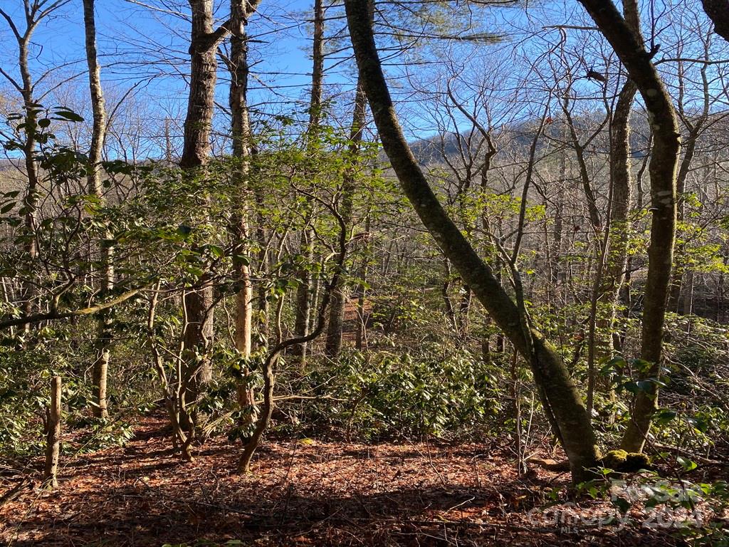 L41 Abby Falls Road, Unit L41 Brevard, NC 28712 - Photo 4 of 19