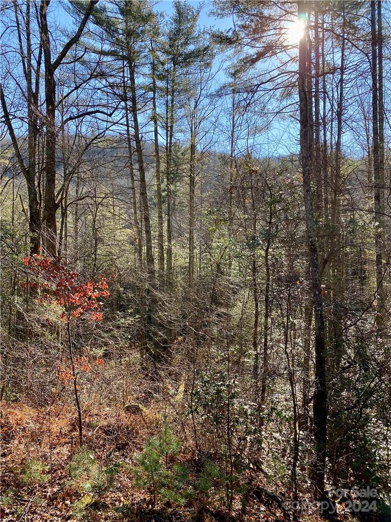L41 Abby Falls Road, Unit L41 Brevard, NC 28712 - Photo 6 of 19