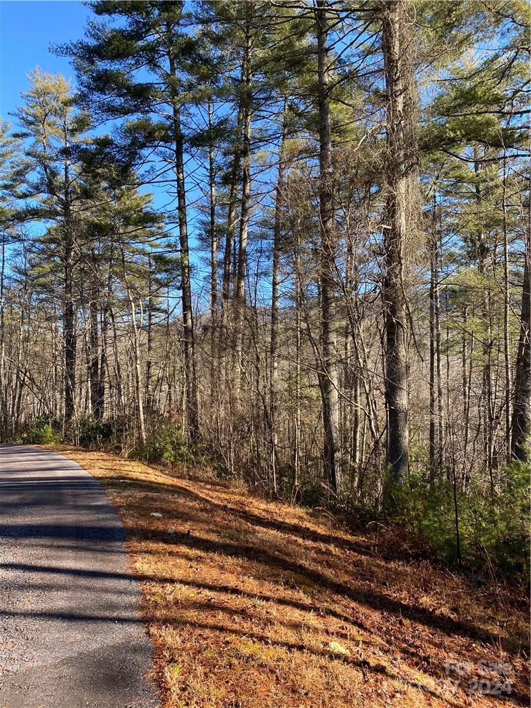 L41 Abby Falls Road, Unit L41 Brevard, NC 28712 - Photo 7 of 19