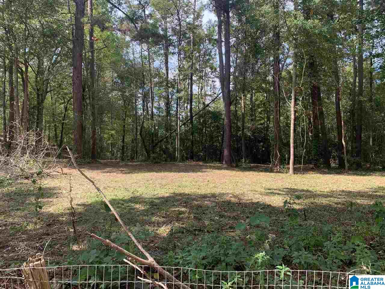 0 Embry Bend Road, Unit 1 Lincoln, AL 35096 - Photo 9 of 15