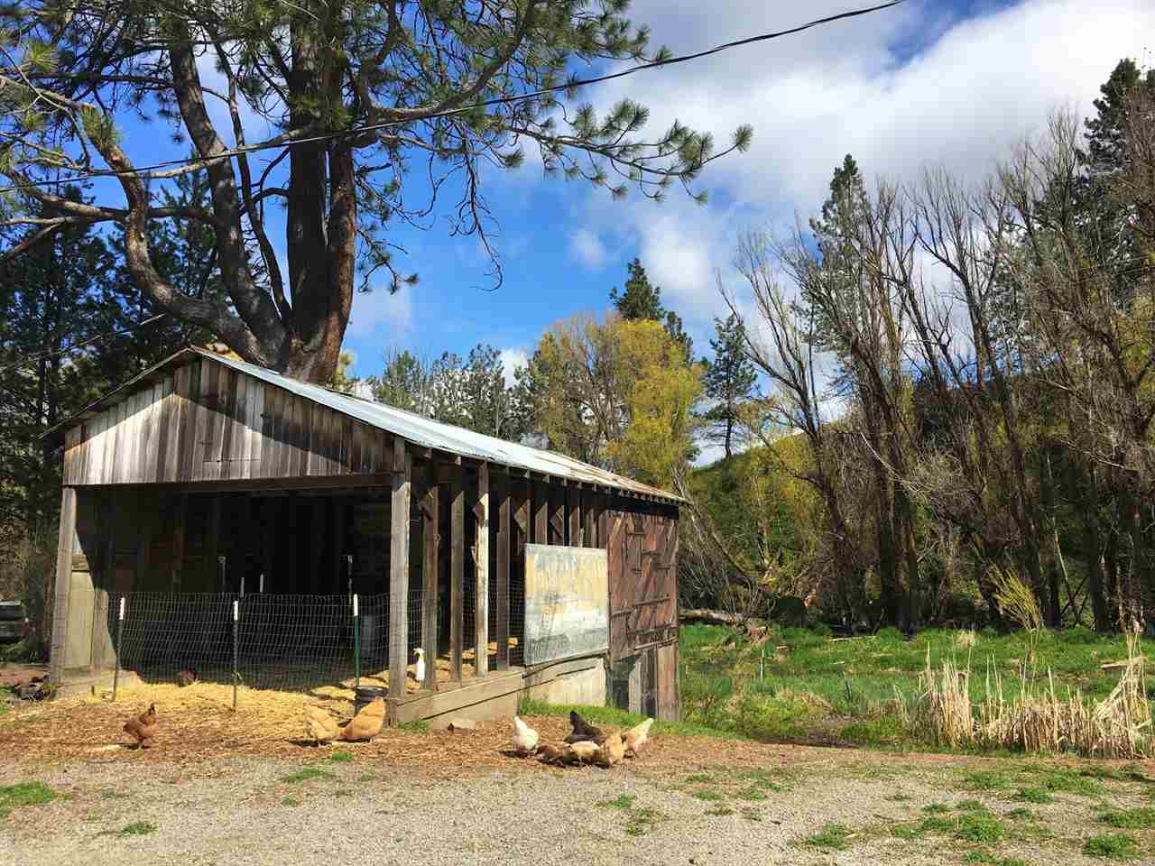 36777 North Dunn Road Chattaroy, WA 99003 - Photo 20 of 20 Gallery Image 20