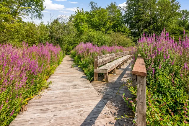 $750,000 | 3569 Kingfisher Cove Drive, Saugatuck, MI 49453