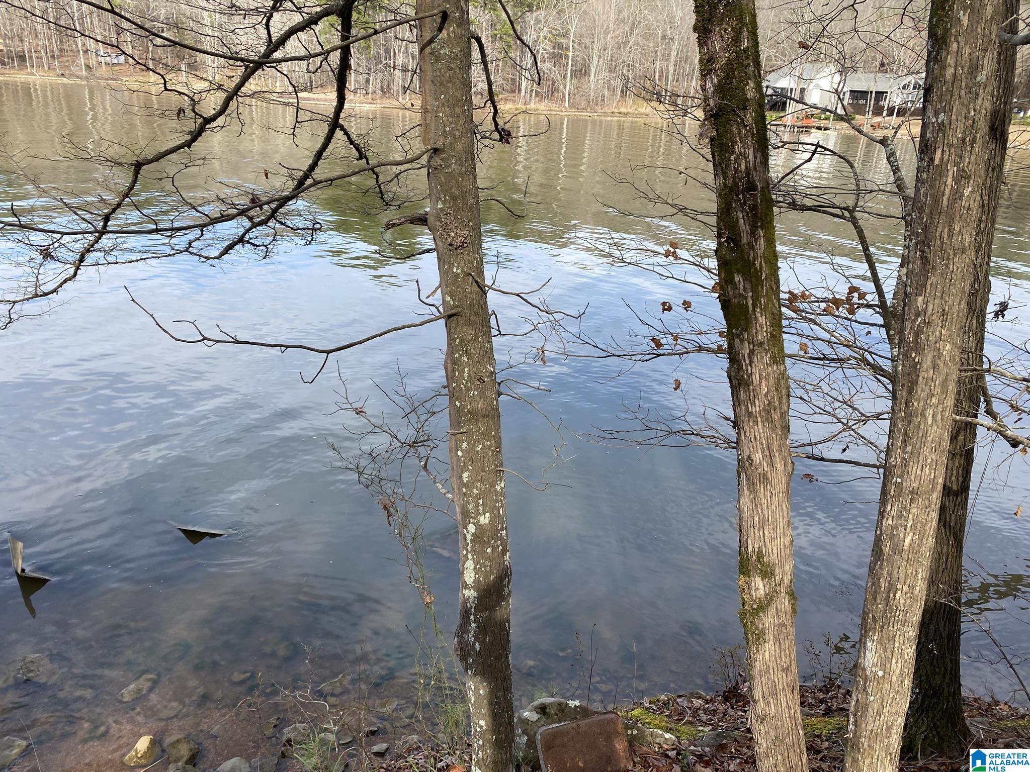 Mohawk Cliff Road, Unit 5 Ohatchee, AL 36271 - Photo 2 of 14