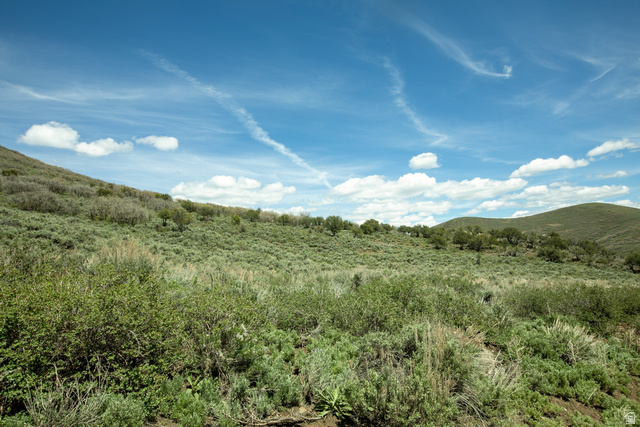 1646 North Miles Holw Road, Unit 29 Kamas, UT 84036 - Photo 16 of 35 Expansive natural landscape featuring rolling hills and varied vegetation