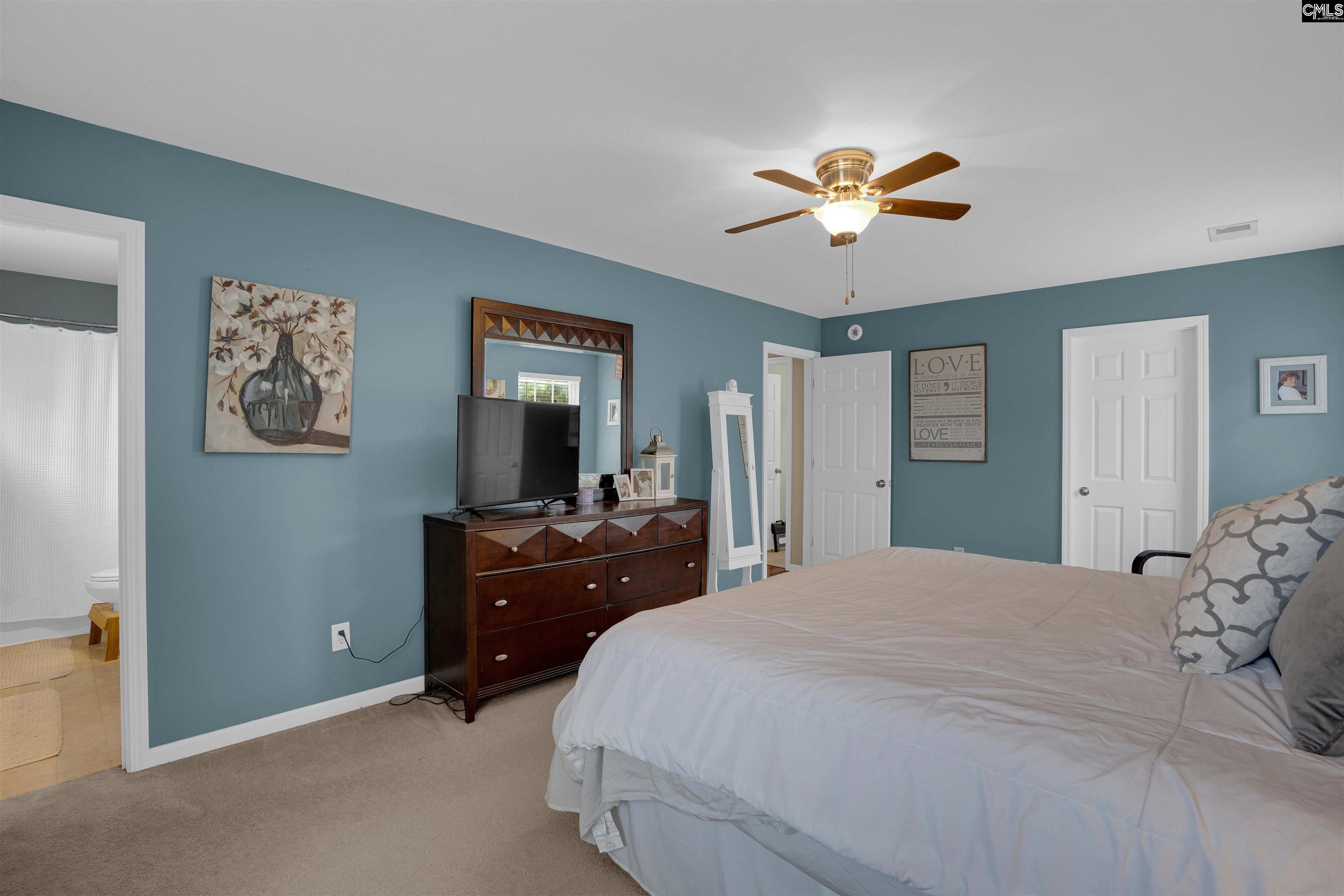 227 Walkbridge Way Chapin, SC 29036 - Photo 15 of 32 Gallery Image 15