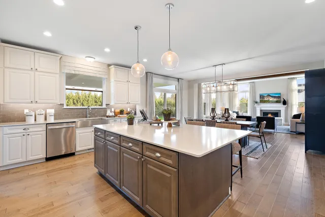 $1,091,145 | 7 Elodea Lane, Ann Arbor, MI 48103