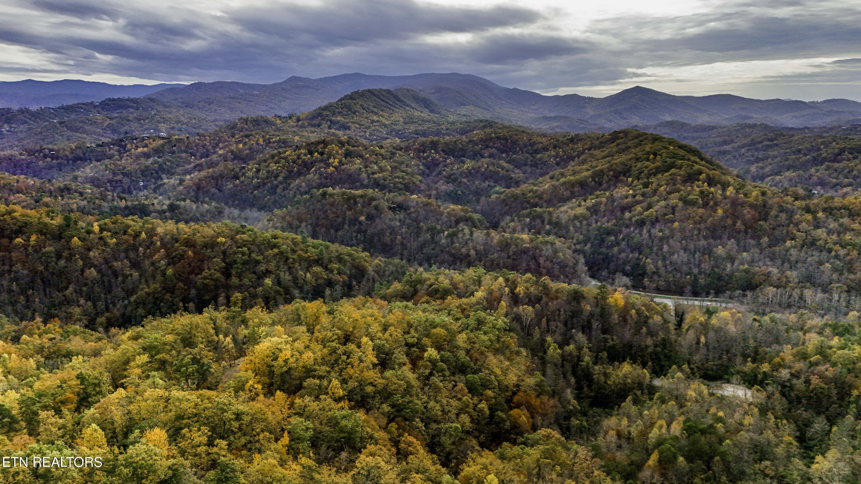 King Branch Road Sevierville, TN 37876 - Photo 11 of 15 DJI_20241106160454_0039_D-HDR