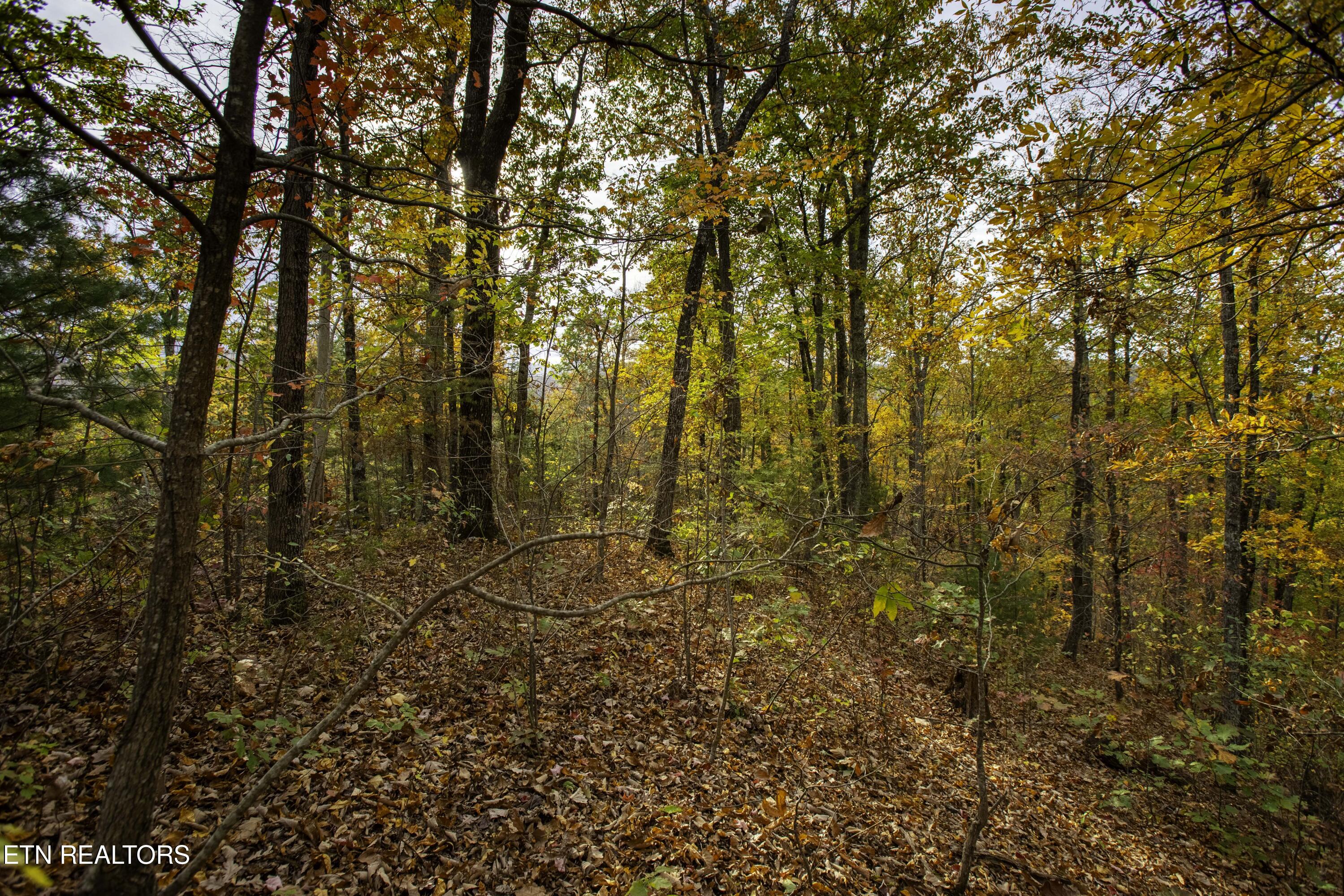 King Branch Road Sevierville, TN 37876 - Photo 14 of 15 IMG_9983-HDR