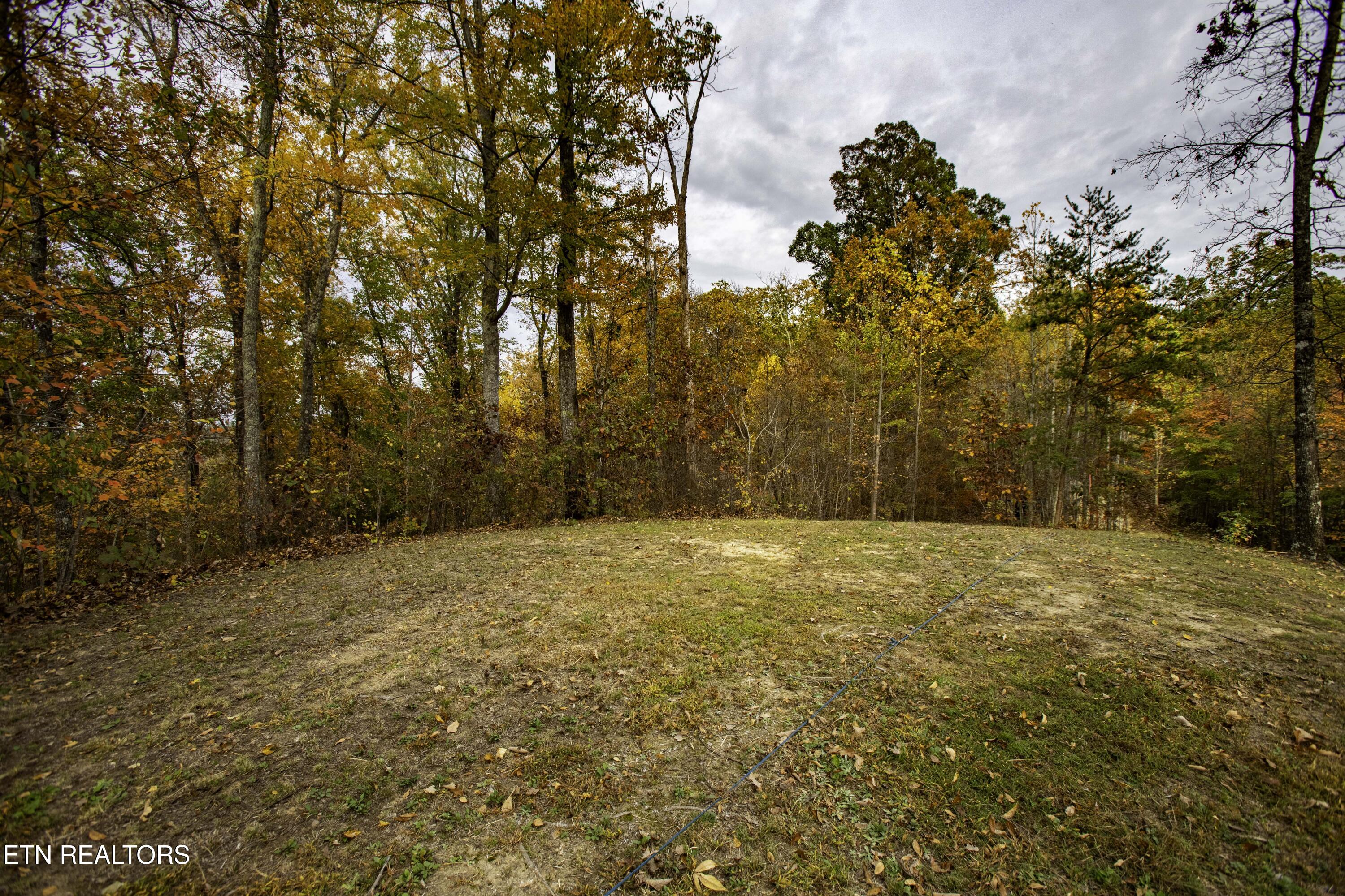 King Branch Road Sevierville, TN 37876 - Photo 15 of 15 IMG_9986-HDR