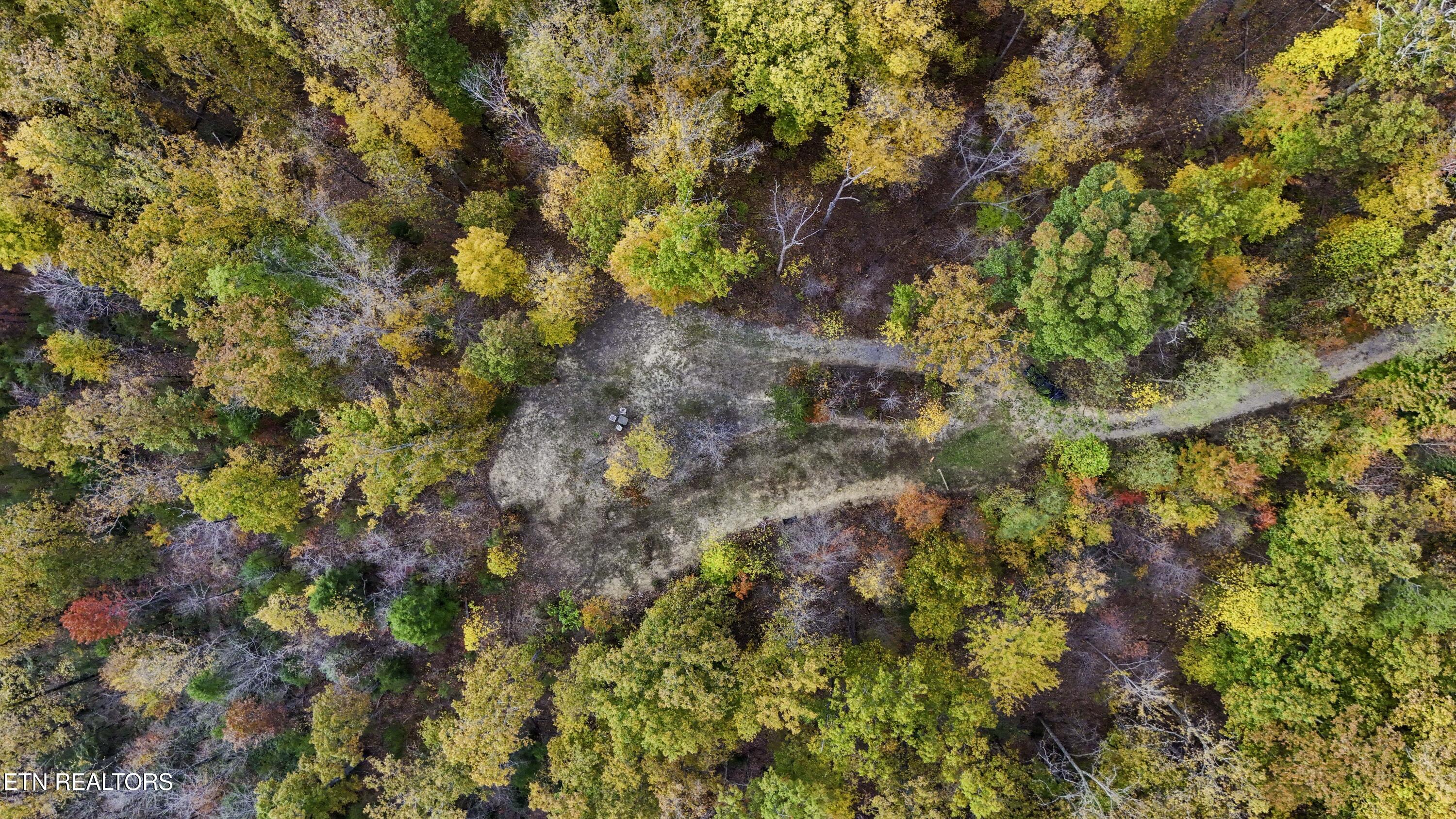 King Branch Road Sevierville, TN 37876 - Photo 4 of 15 DJI_20241106160131_0025_D-HDR