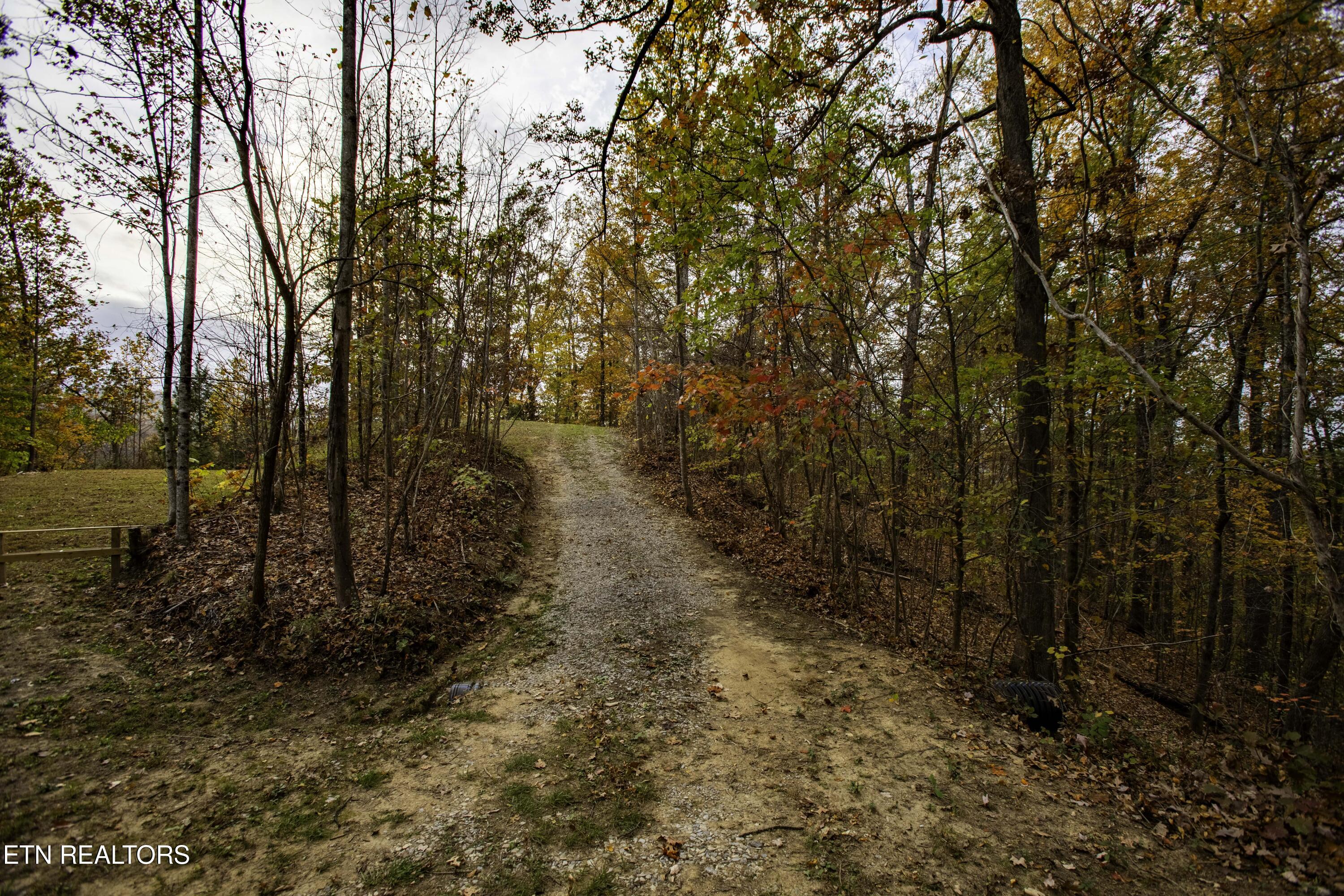 King Branch Road Sevierville, TN 37876 - Photo 5 of 15 IMG_9969-HDR