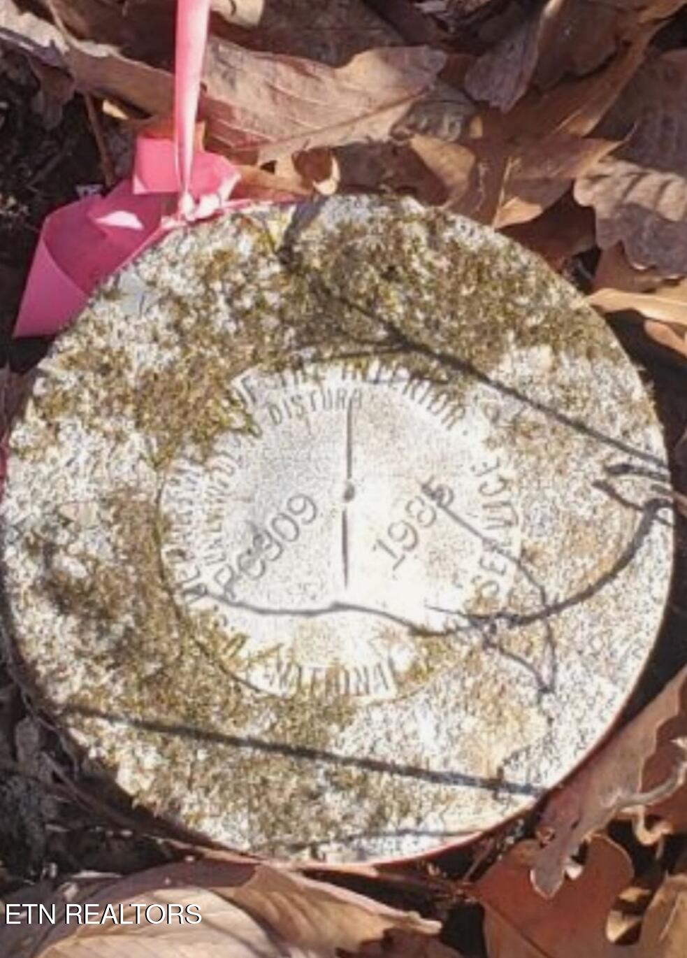 King Branch Road Sevierville, TN 37876 - Photo 7 of 15 Screenshot_20241120_130416_Messages (3)