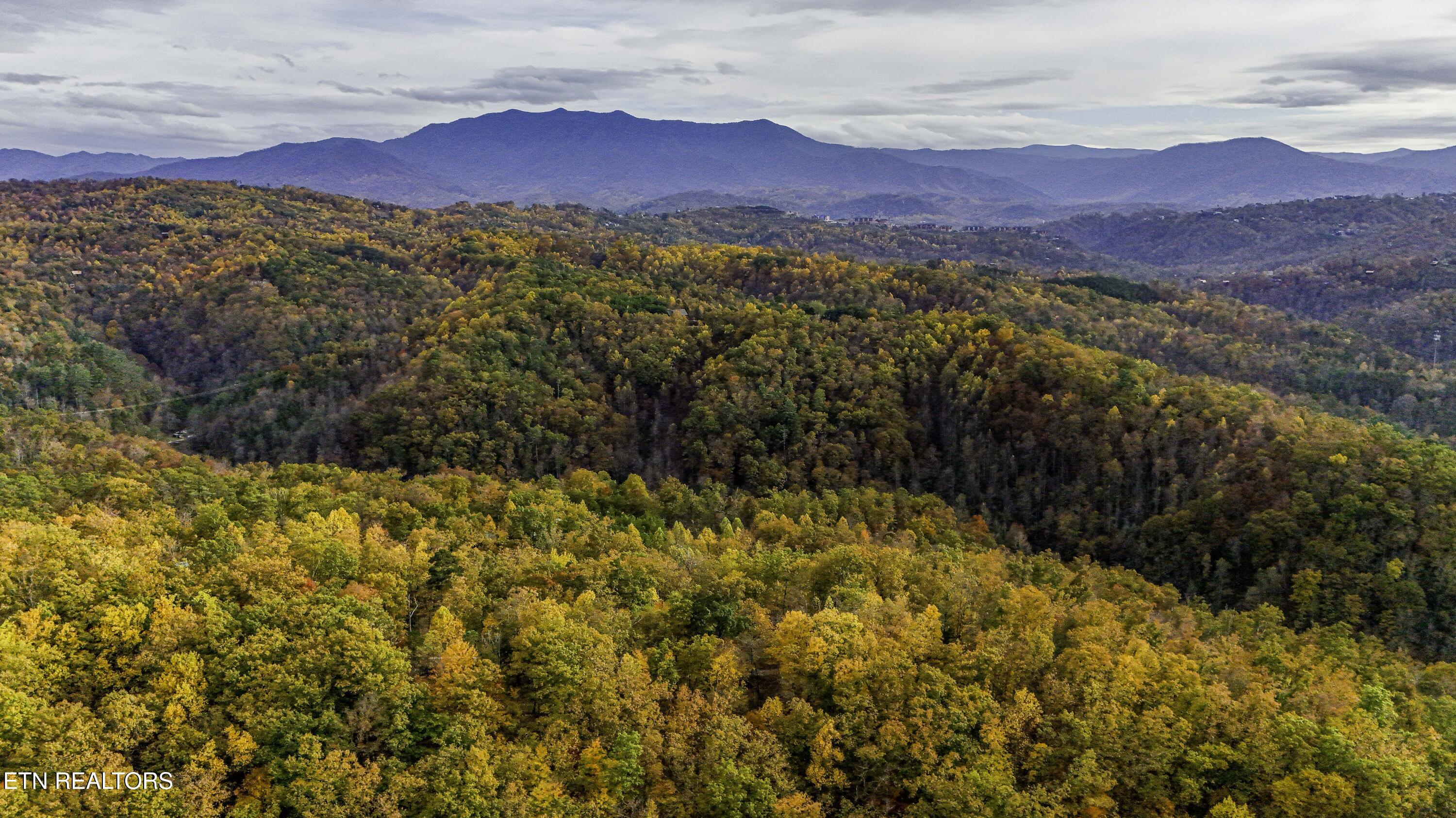 King Branch Road Sevierville, TN 37876 - Photo 10 of 15 DJI_20241106160416_0034_D-HDR
