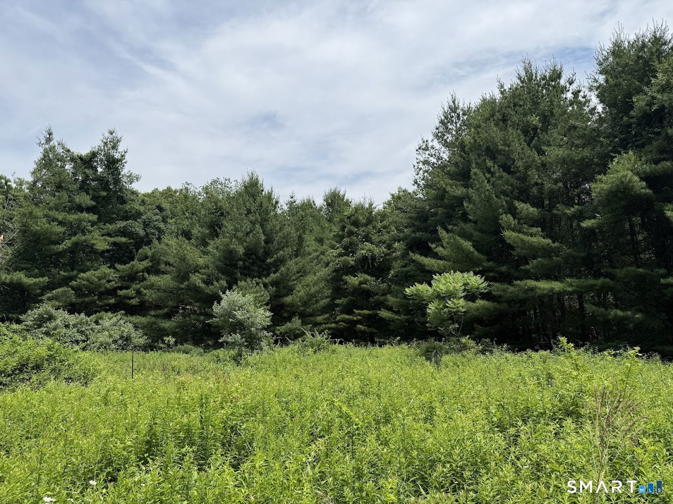 162 Lonetown Road Redding, CT 06896 - Photo 3 of 5