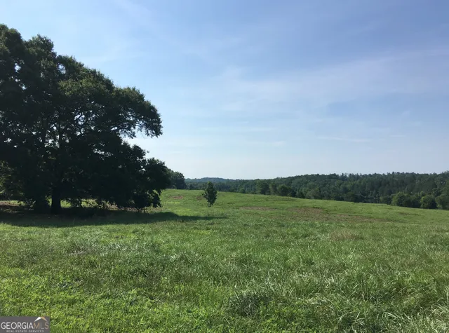 a view of grassy field with trees