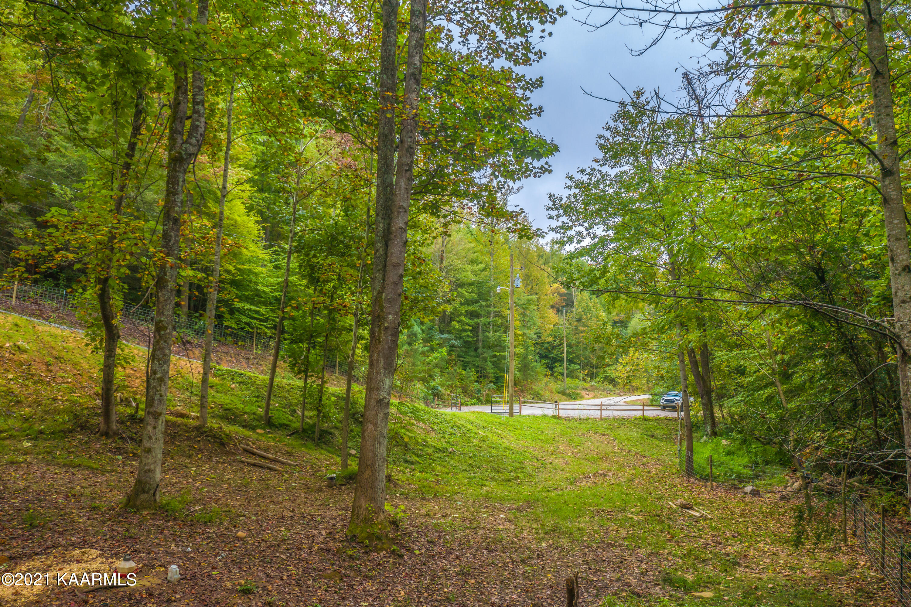 1281 Bluets Road Newport, TN 37821 - Photo 19 of 30 ADB799AD-D866-4D92-80B2-CEBED0DF9F46