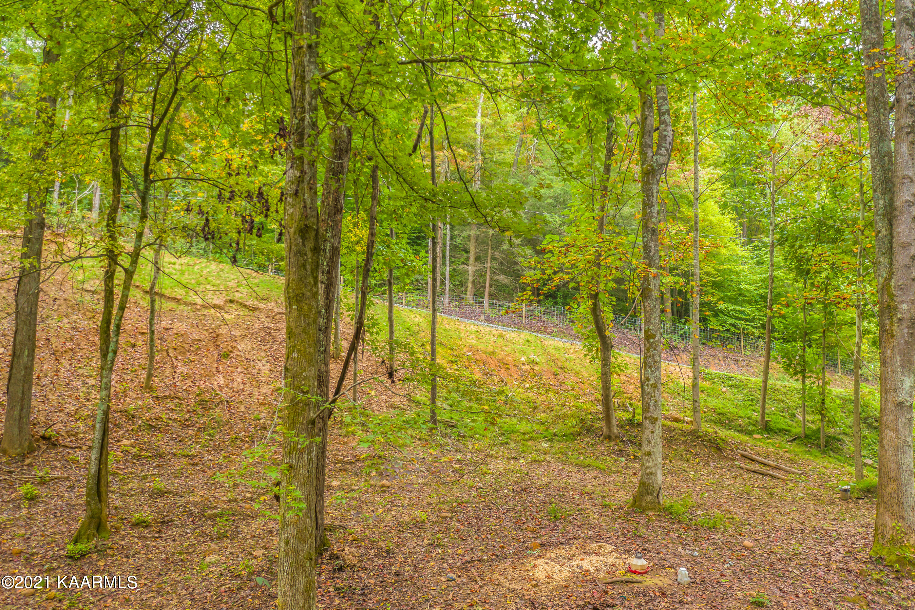 1281 Bluets Road Newport, TN 37821 - Photo 20 of 30 38EB1FF0-469F-485E-8C15-EDC753011218
