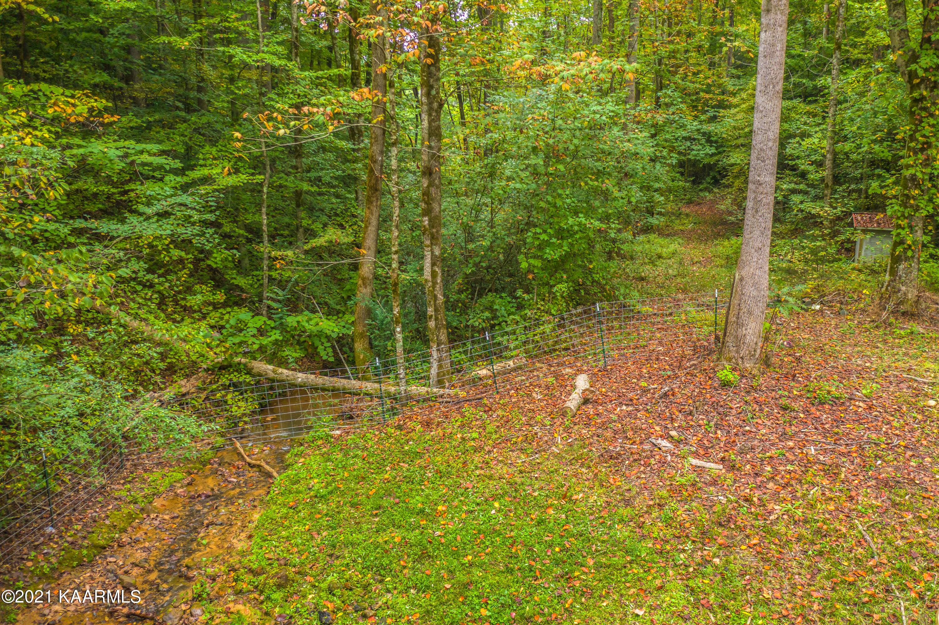 1281 Bluets Road Newport, TN 37821 - Photo 21 of 30 0C9E3116-090C-440B-A684-259DA25055D3
