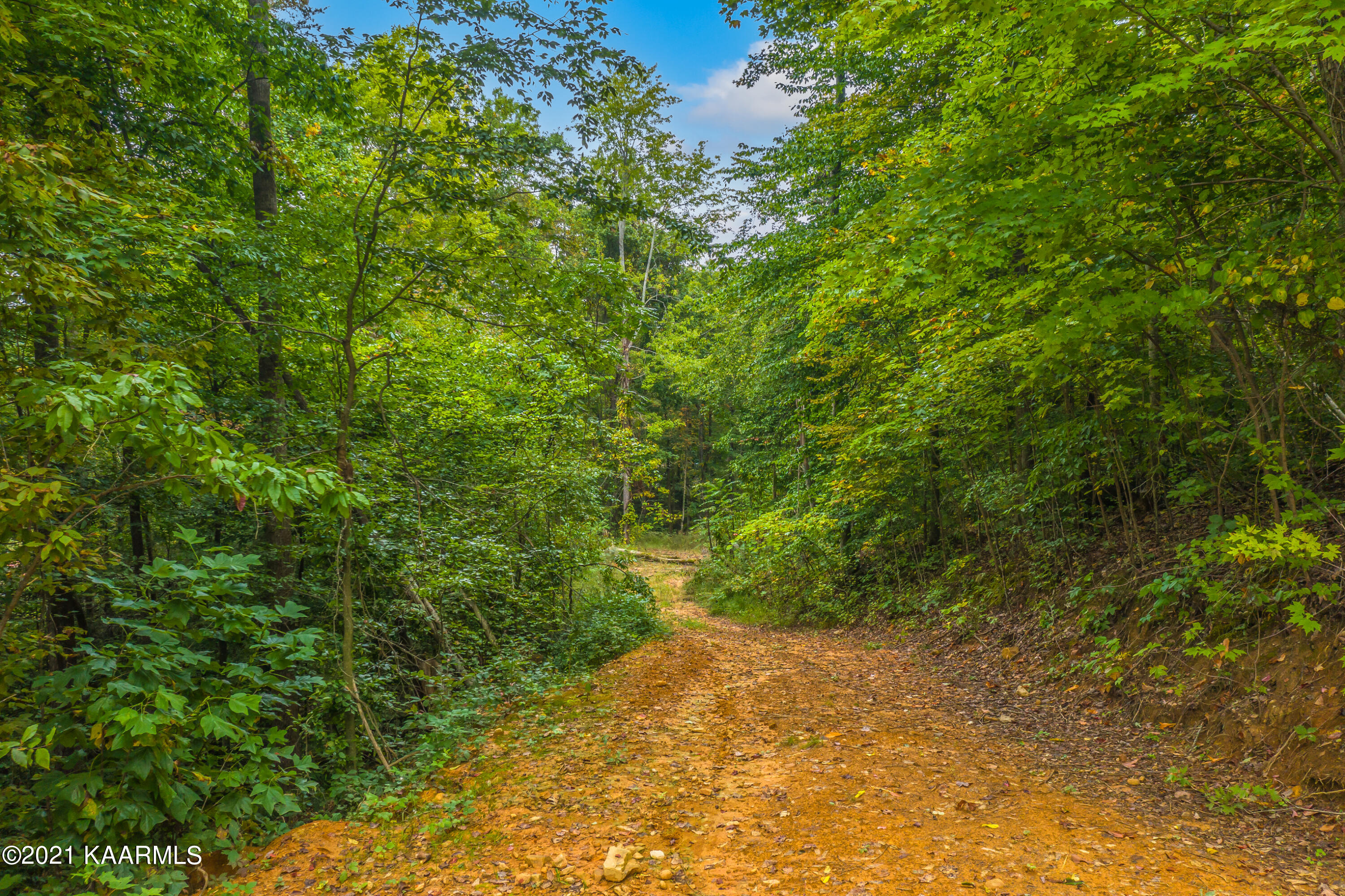 1281 Bluets Road Newport, TN 37821 - Photo 22 of 30 9E422961-8C2E-4599-AC07-F7C8A91229EA