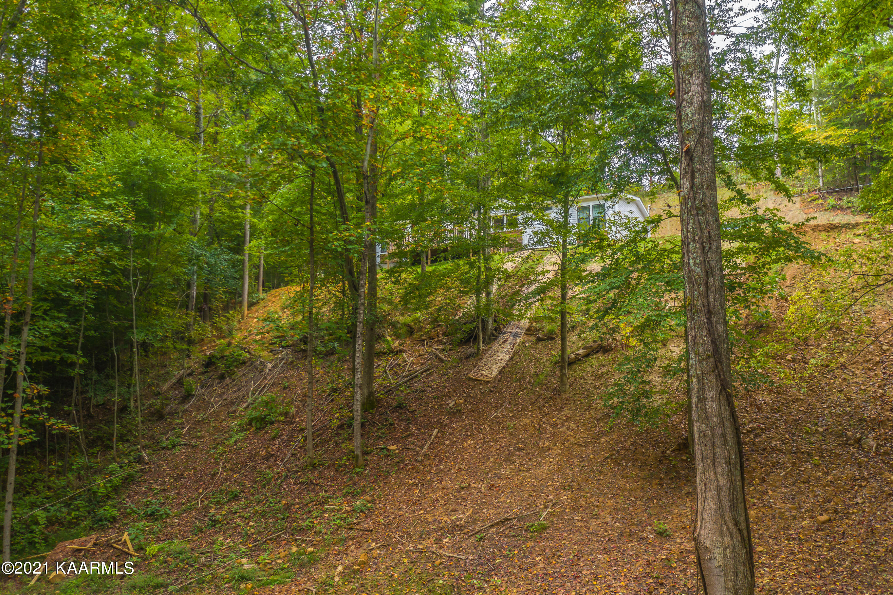 1281 Bluets Road Newport, TN 37821 - Photo 23 of 30 50D00212-4C86-4681-8B8D-84EDD5A56ECD