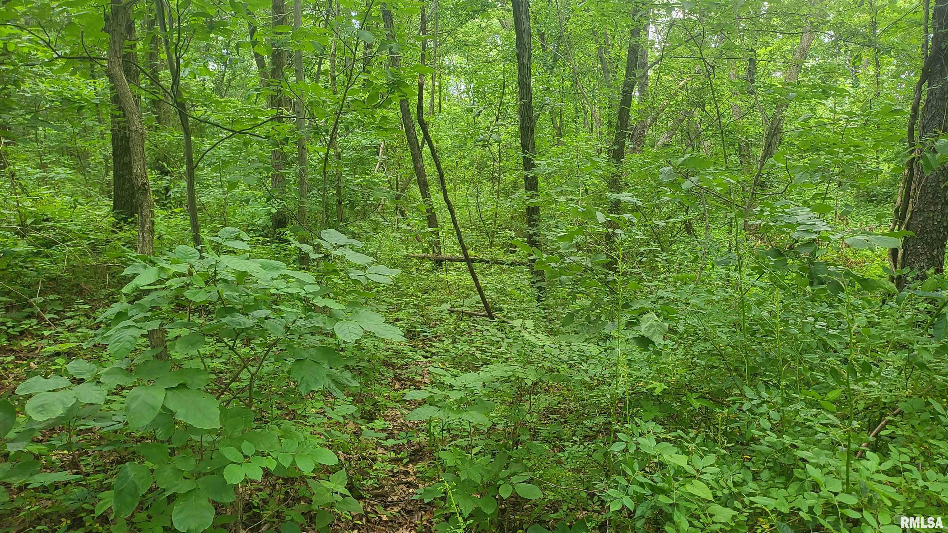 4104 Oak Grove Road Alma, IL 62807 - Photo 23 of 30