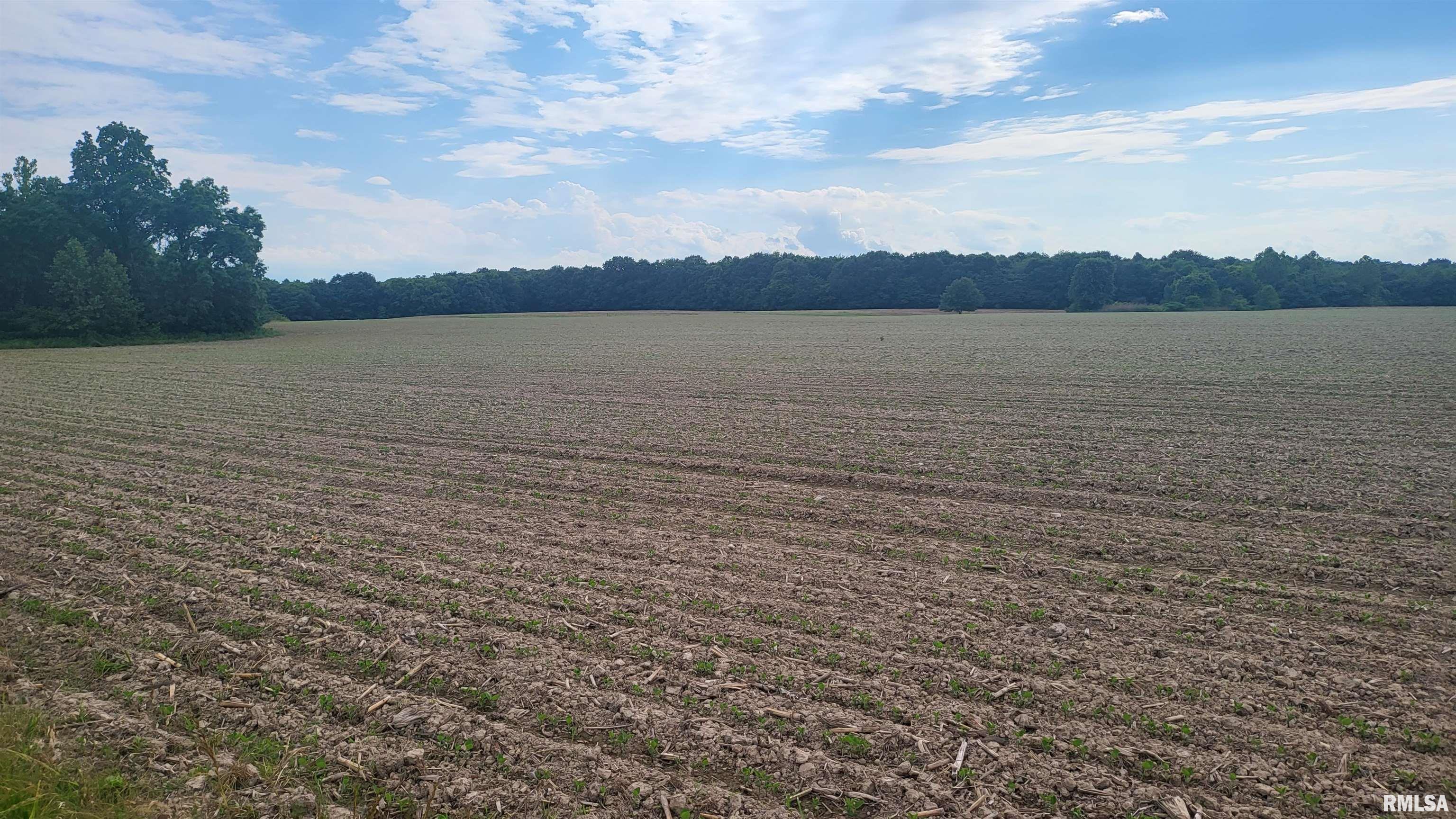 4104 Oak Grove Road Alma, IL 62807 - Photo 8 of 30