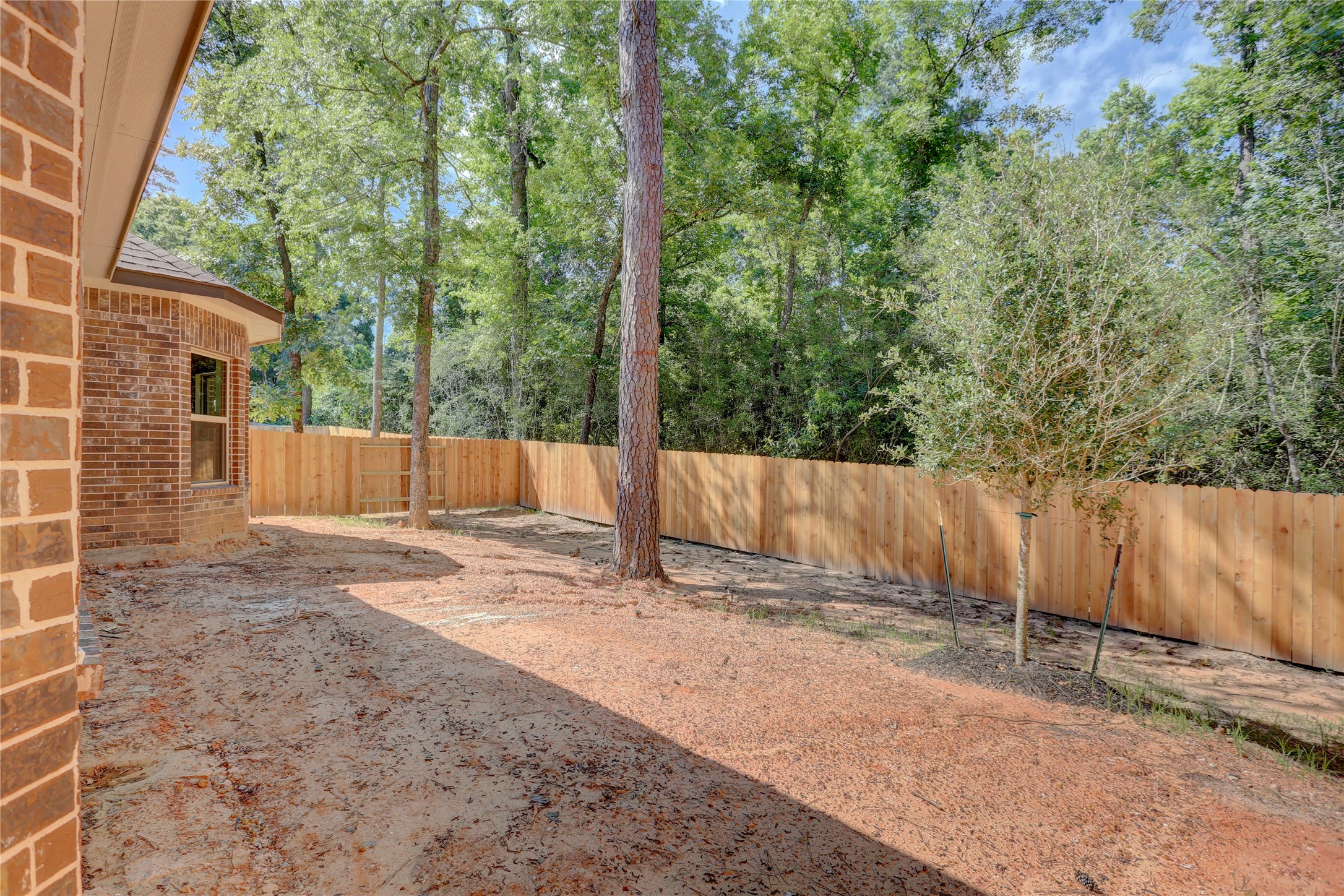 403 Black Walnut Drive Conroe, TX 77304 - Photo 10 of 15 a backyard of a house with a trees