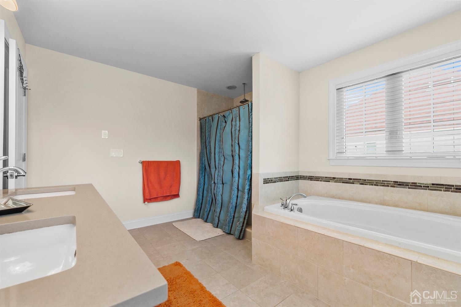 308 Plainfield Road Edison, NJ 08820 - Photo 39 of 40 a bathroom with a bathtub and a sink