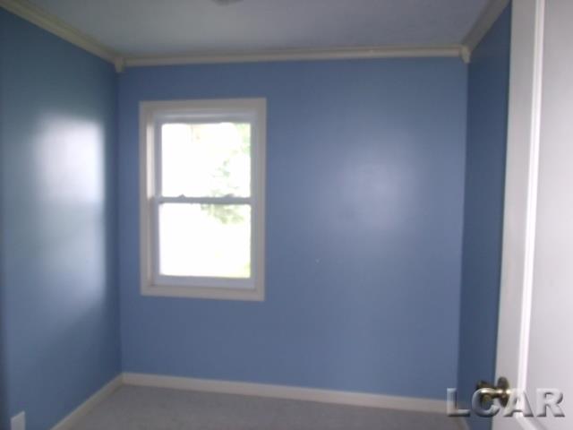 1174 East Gorman Road Adrian, MI 49221 - Photo 11 of 22 31250389-10.JPG