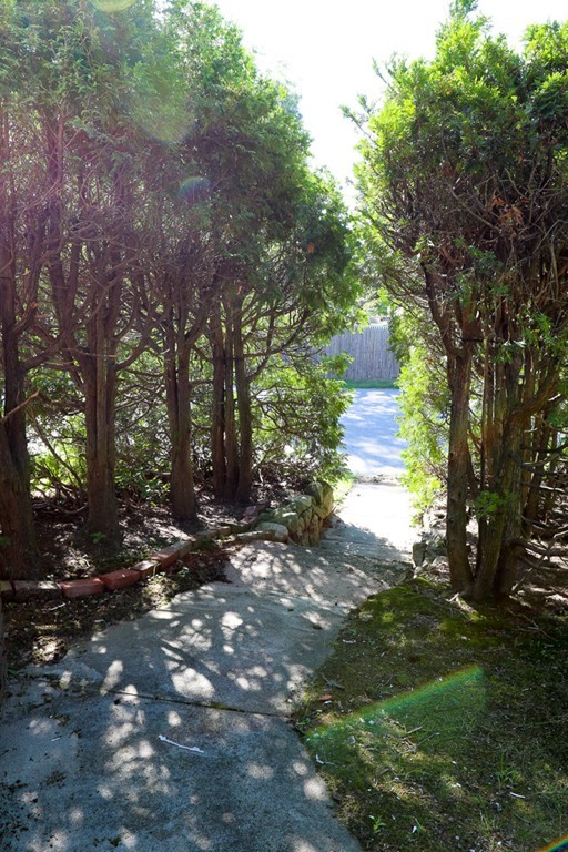 1 Standish Road Lawrence, MA 01843 - Photo 13 of 13 a view of a forest with trees