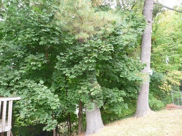 16 Hadley Road Methuen, MA 01844 - Photo 17 of 17 Gallery Image 17