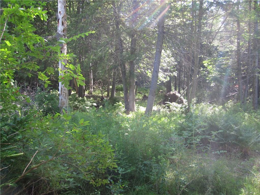 0 Johnson Mill Road Orrington, ME 04474 - Photo 5 of 6 Photo