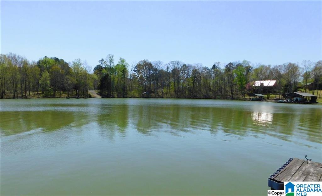 45 County Road 764 Cedar Bluff, AL 35959 - Photo 31 of 38