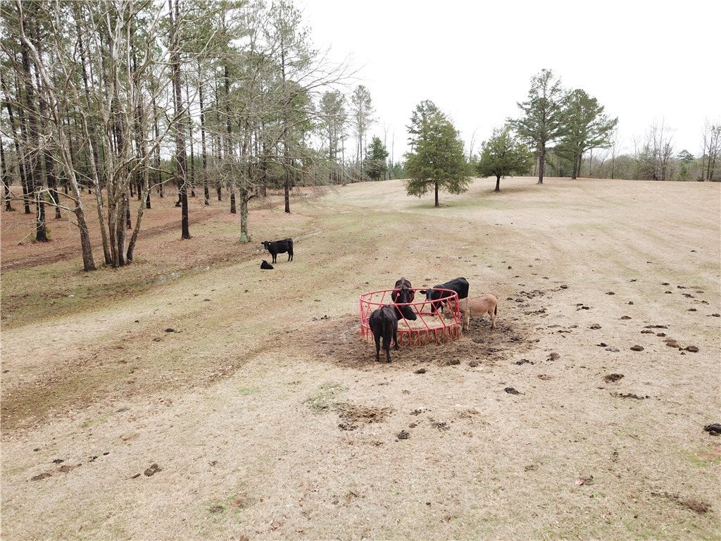 0 South Moss Flat Road Notasulga, AL 36866 - Photo 23 of 39 Gallery Image 23