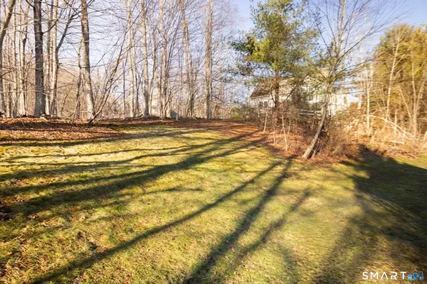 a view of road and trees