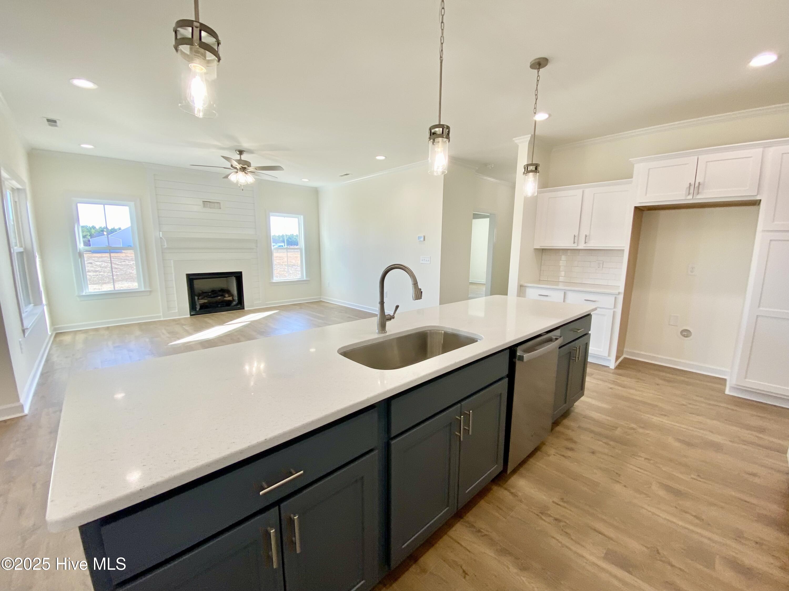 207 Rae Drive Pikeville, NC 27863 - Photo 10 of 29 IMG_5973