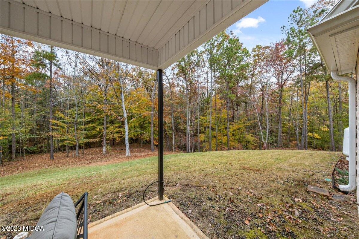 208 Carters Way Forsyth, GA 31029 - Photo 22 of 22 a backyard of a house with lots of green space