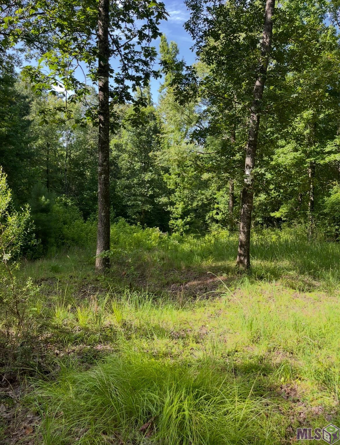 0 Paul Gallows Road Utica, MS 39175 - Photo 8 of 23