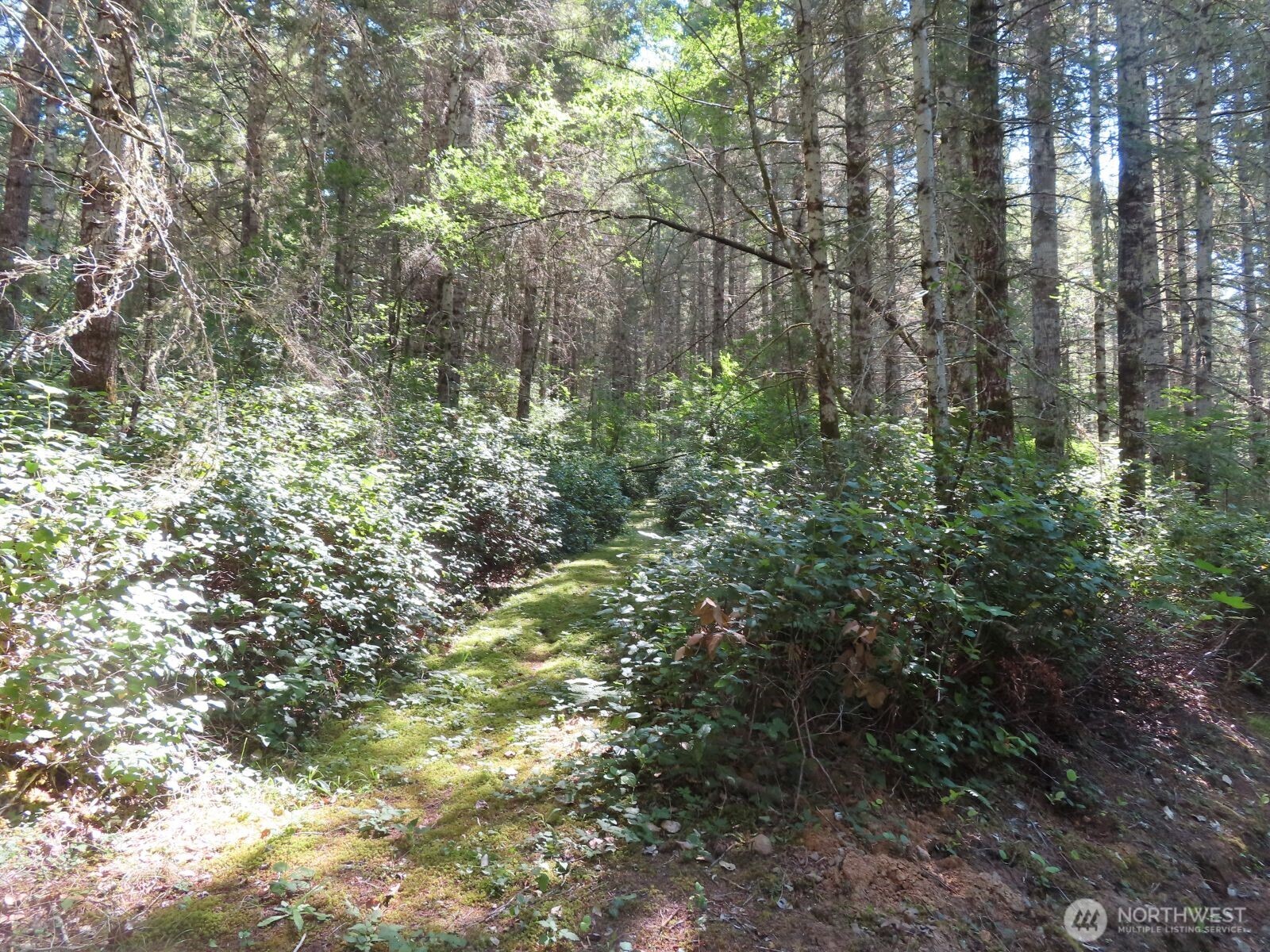 419 Meskill Road Chehalis, WA 98532 - Photo 37 of 40 Gallery Image 37