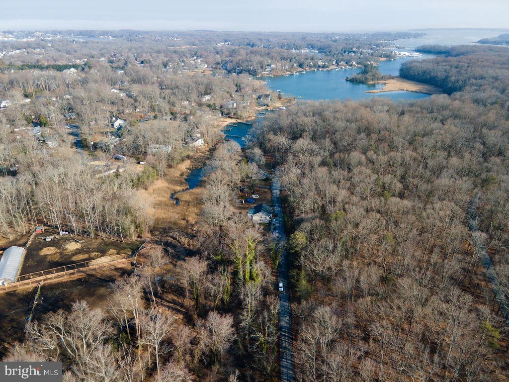 Oak Lane Edgewater, MD 21037 - Photo 5 of 18 an aerial view of forest