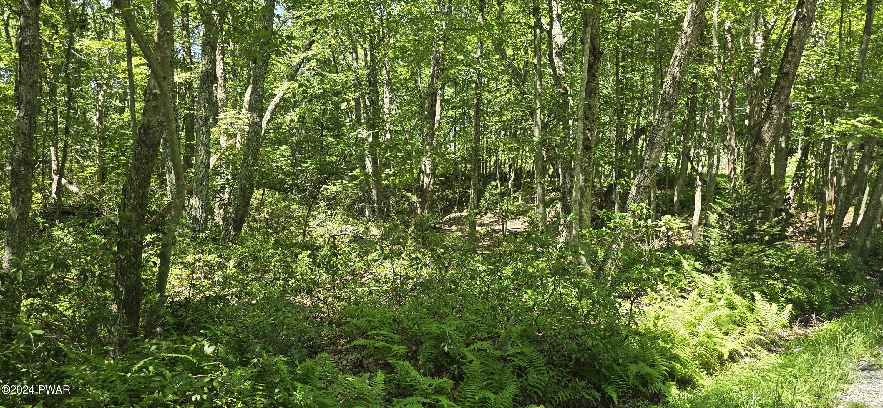 Cayuga Trail Milford, PA 18337 - Photo 17 of 20