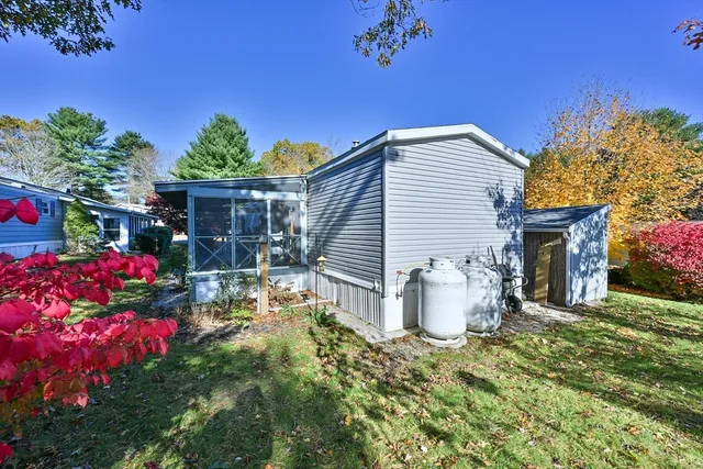 a view of a backyard with potted plants and a large tree
