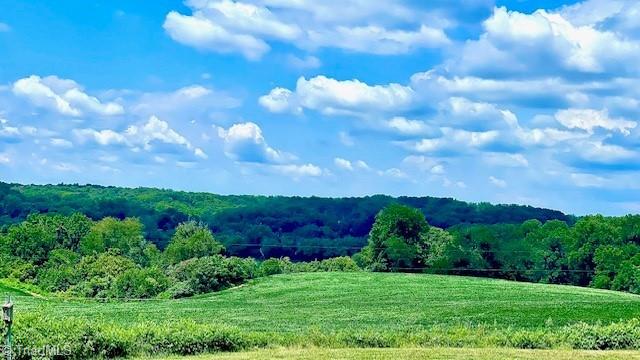 5185 Williams Road Lewisville, NC 27023 - Photo 49 of 49 Gallery Image 49
