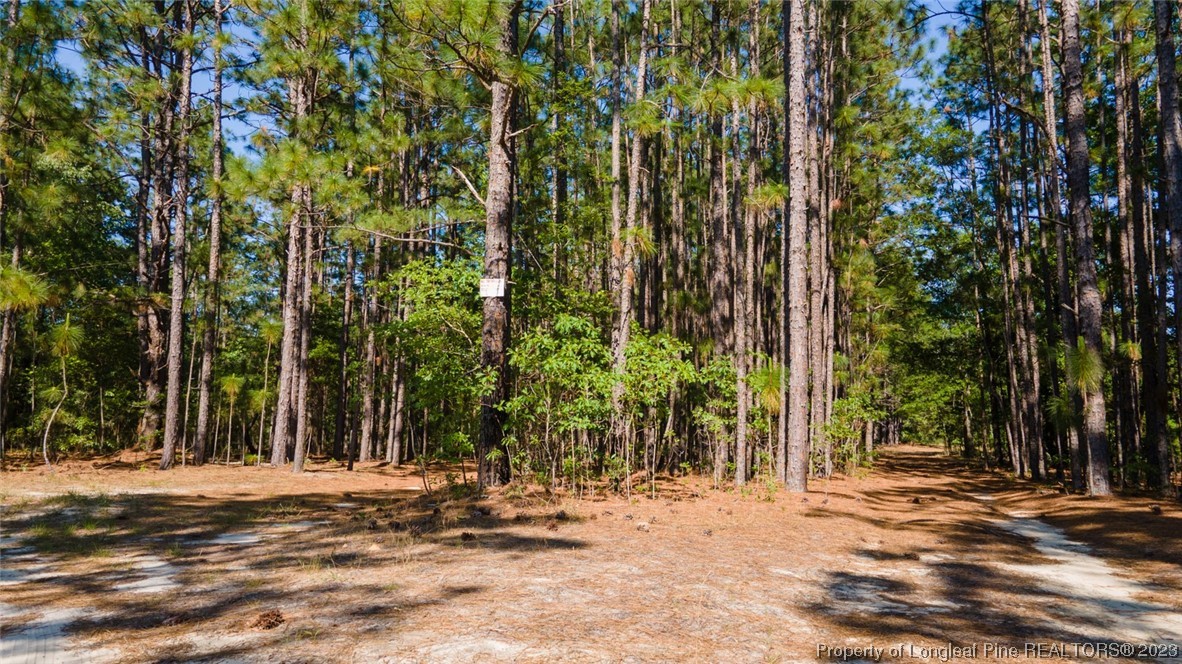 Springwood Lane Raeford, NC 28376 - Photo 11 of 34 Gallery Image 11