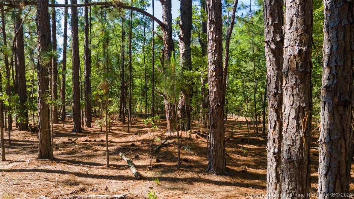 Springwood Lane Raeford, NC 28376 - Photo 12 of 34 Gallery Image 12
