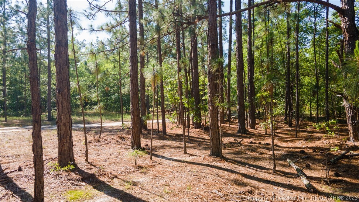 Springwood Lane Raeford, NC 28376 - Photo 13 of 34 Gallery Image 13