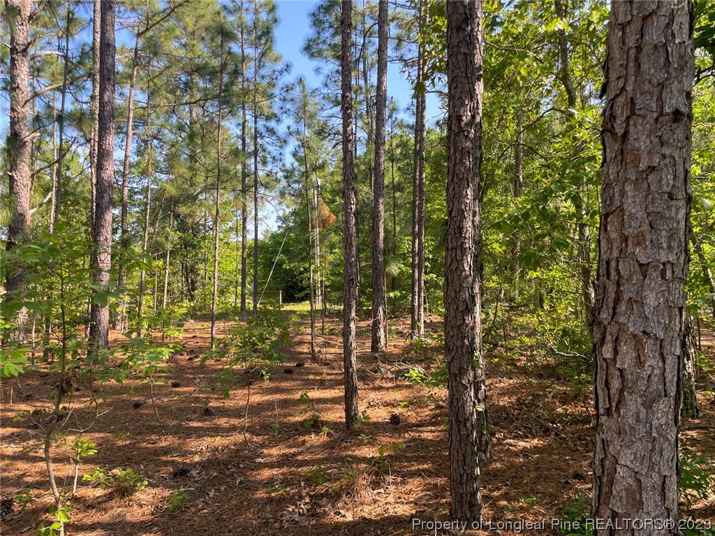 Springwood Lane Raeford, NC 28376 - Photo 15 of 34 Gallery Image 15