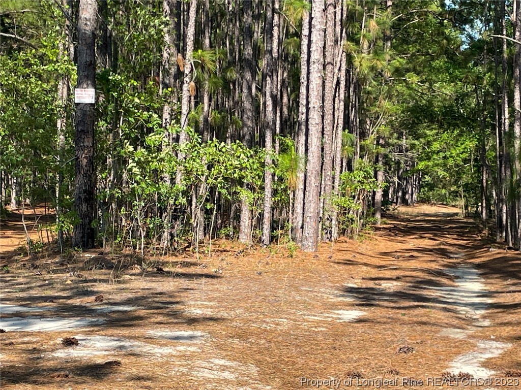 Springwood Lane Raeford, NC 28376 - Photo 16 of 34 Gallery Image 16
