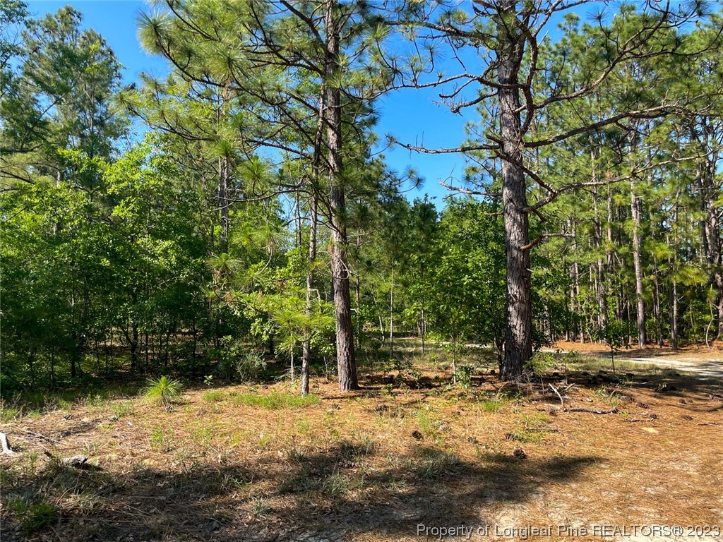 Springwood Lane Raeford, NC 28376 - Photo 17 of 34 Gallery Image 17